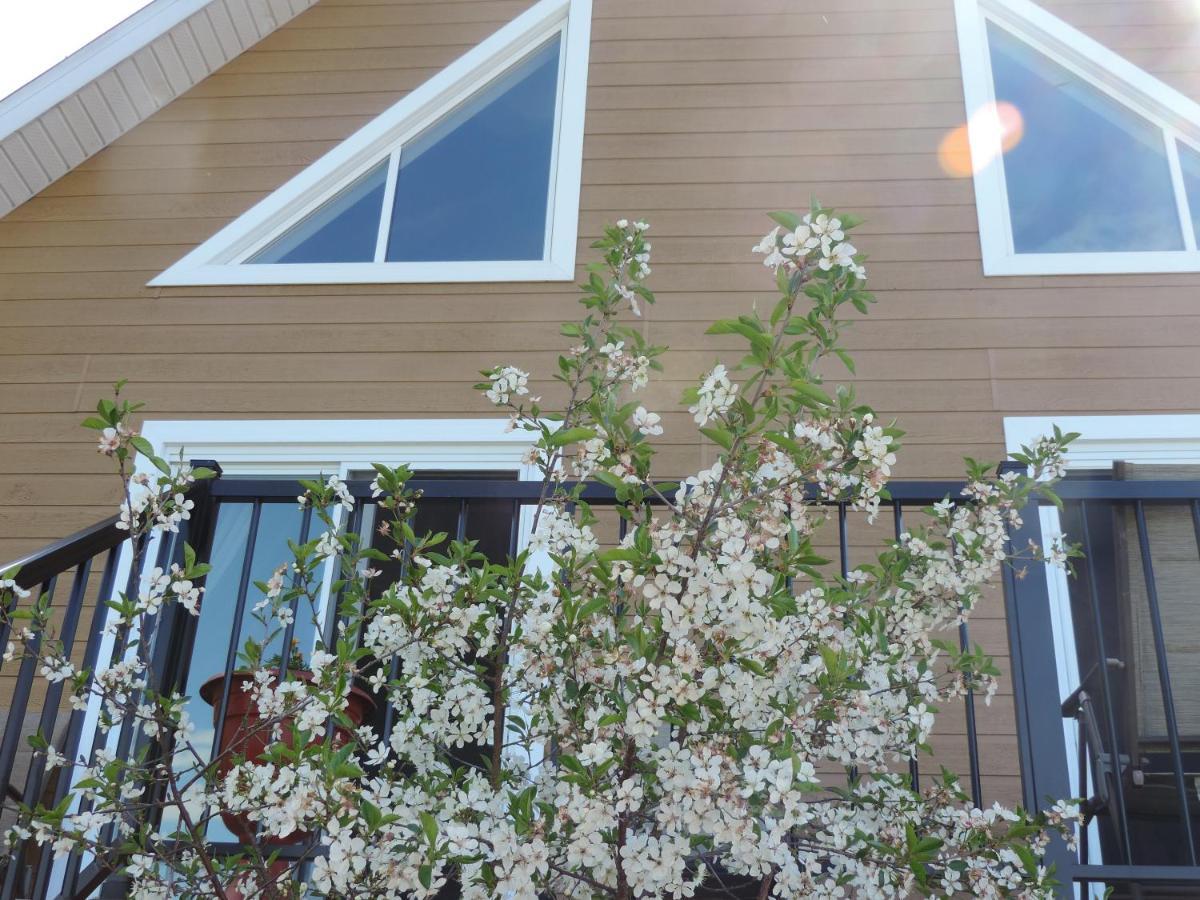 Chalets Garou Saint-Ferdinand Екстериор снимка